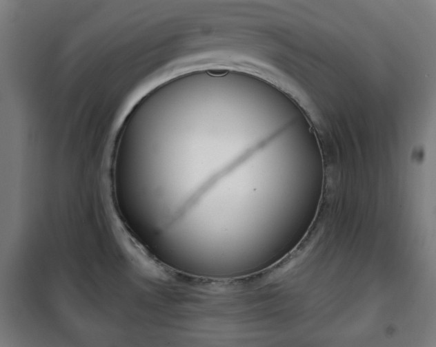 X0000100751530200807031324