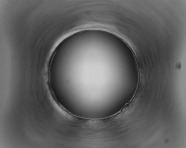 X0000100751531200807031324