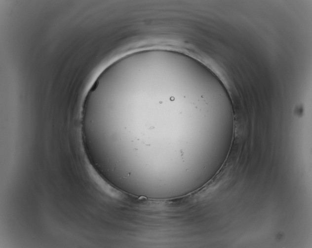 X0000100751532200807031324