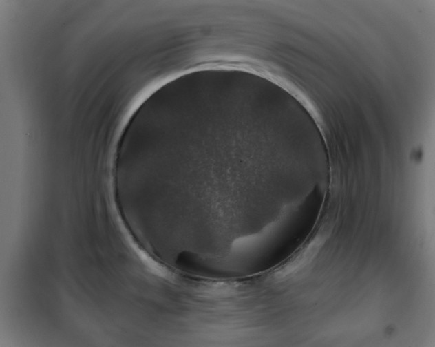 X0000100751533200807031324