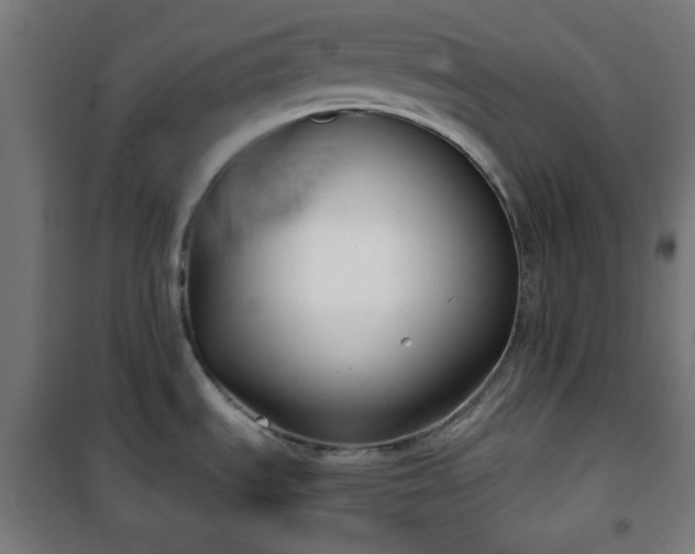 X0000100751535200807031324