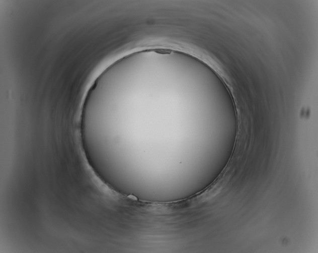 X0000100751536200807031324