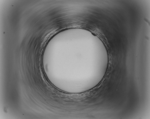 X0000100750001200807101715