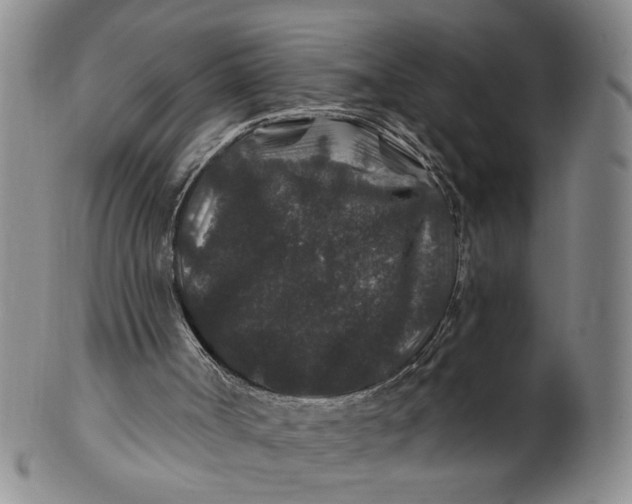 X0000100750002200807101715