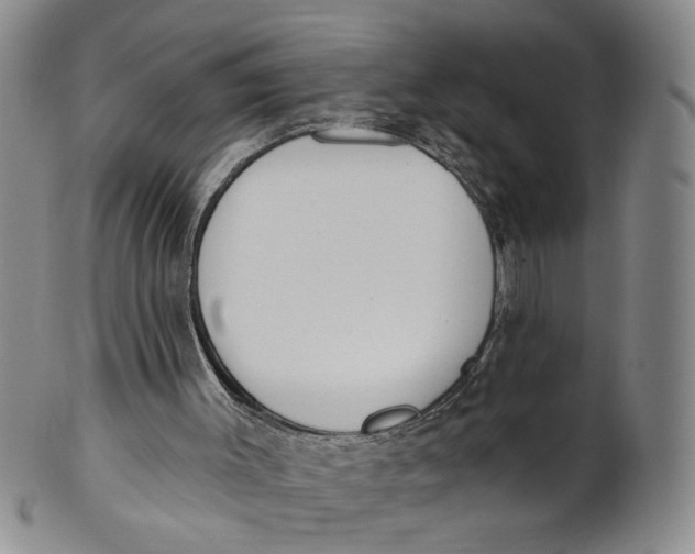 X0000100750003200807101714