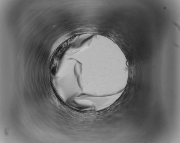 X0000100750004200807101714