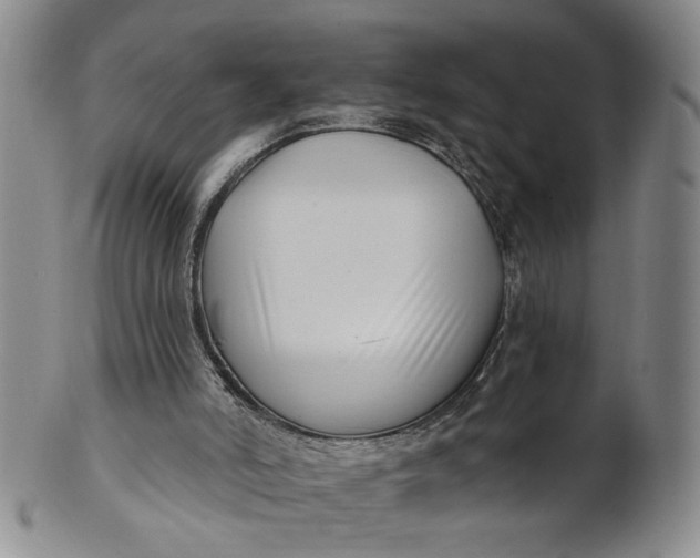 X0000100750006200807101714