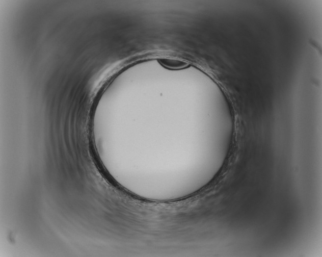 X0000100750007200807101714