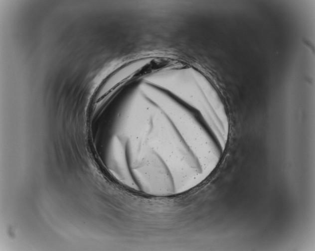 X0000100750008200807101714