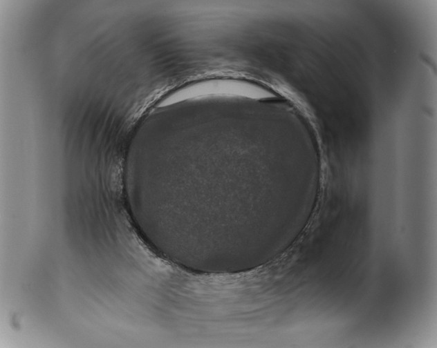 X0000100750009200807101714