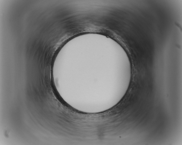 X0000100750011200807101714