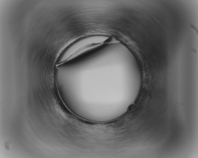 X0000100750012200807101714