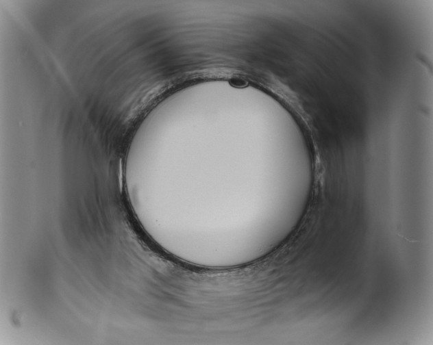 X0000100750013200807101714