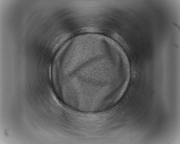 X0000100750014200807101714