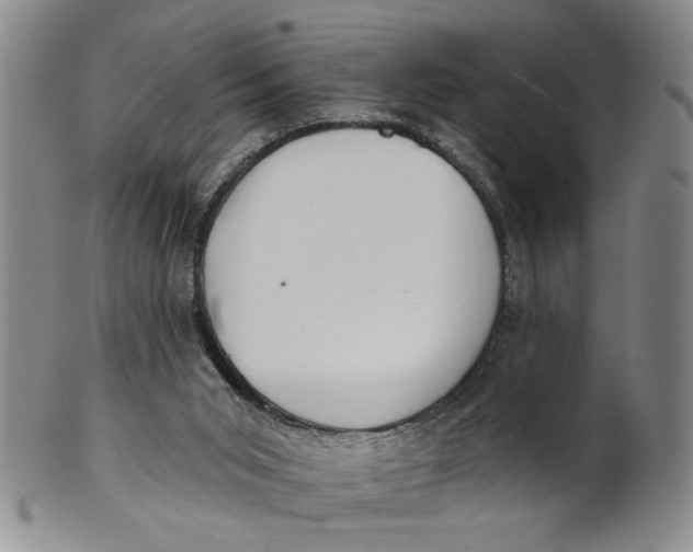 X0000100750015200807101714