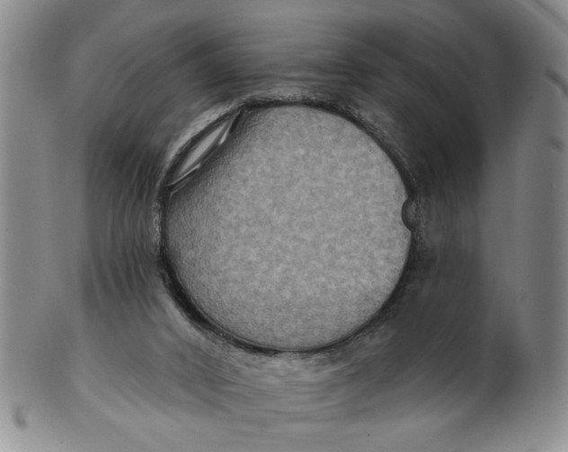 X0000100750016200807101714