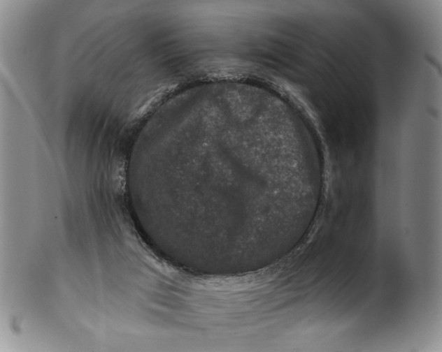 X0000100750017200807101714