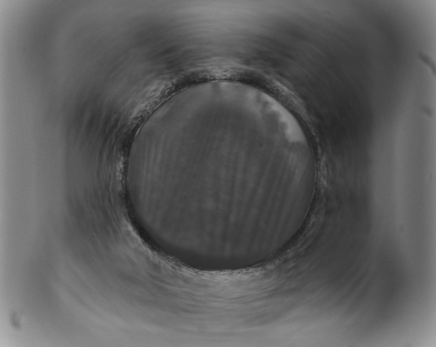 X0000100750018200807101714