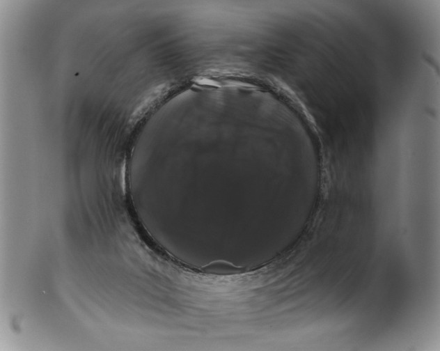 X0000100750019200807101714