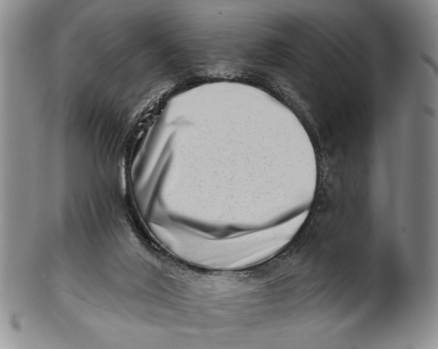 X0000100750020200807101714