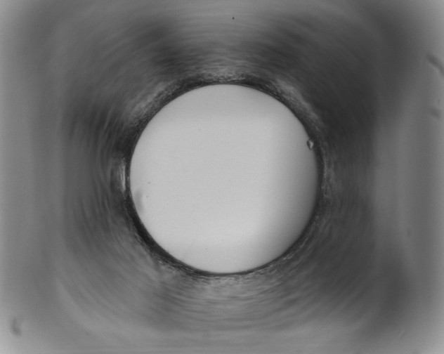 X0000100750021200807101714