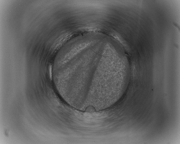 X0000100750022200807101714