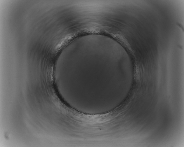 X0000100750023200807101714