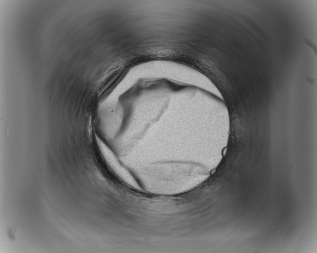 X0000100750024200807101714