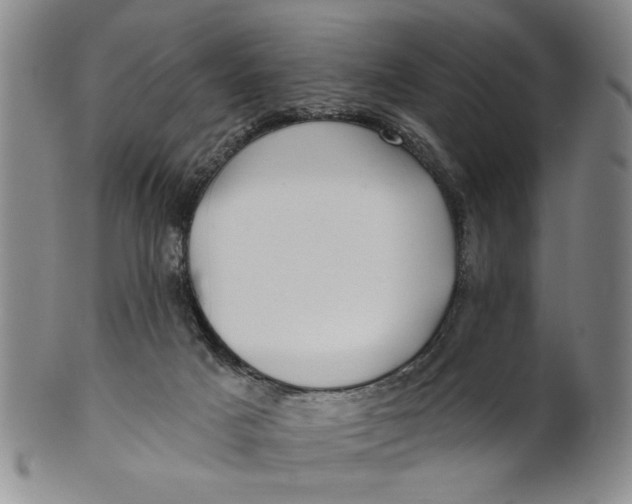 X0000100750025200807101714