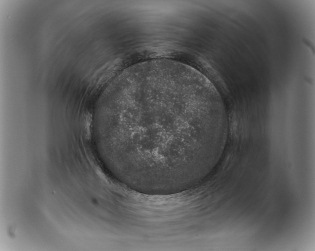 X0000100750026200807101714