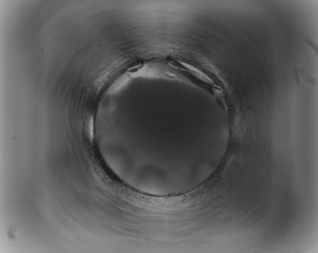 X0000100750027200807101714