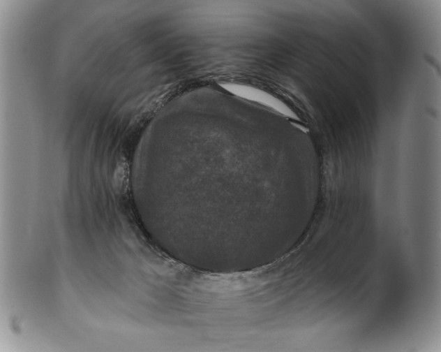 X0000100750029200807101714