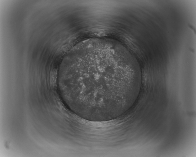 X0000100750030200807101714