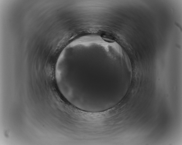 X0000100750031200807101714