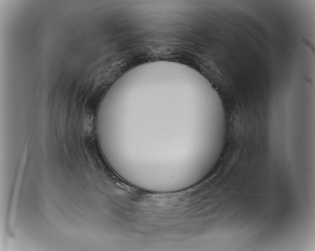 X0000100750033200807101714