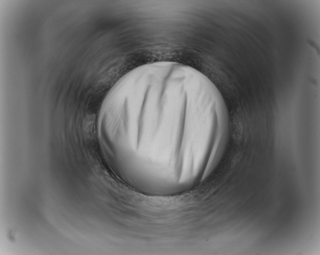 X0000100750034200807101714