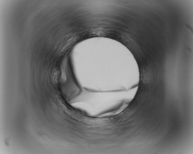 X0000100750036200807101714