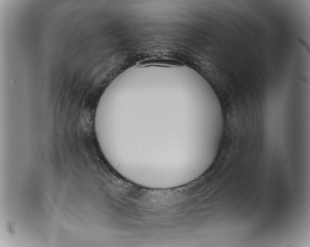 X0000100750037200807101714