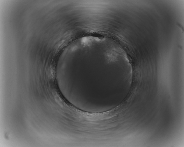 X0000100750039200807101714