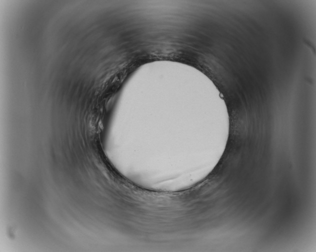 X0000100750040200807101714