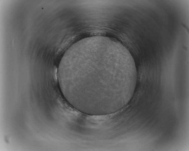 X0000100750041200807101714