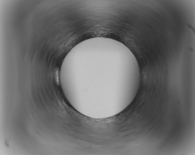 X0000100750042200807101714