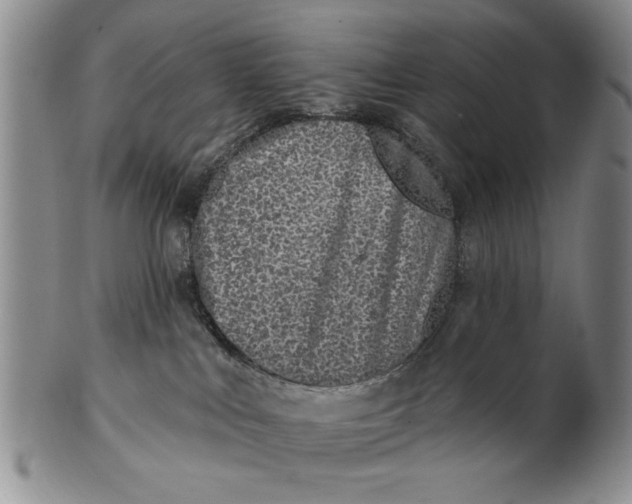 X0000100750043200807101714