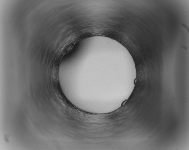 X0000100750044200807101714