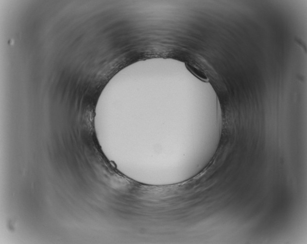 X0000100750045200807101714