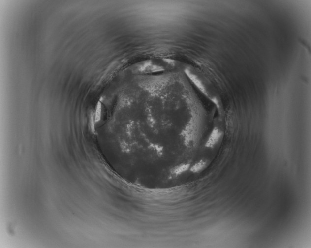 X0000100750046200807101714