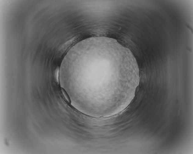 X0000100750047200807101714