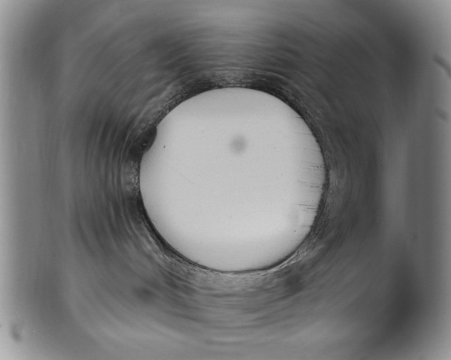 X0000100750048200807101714