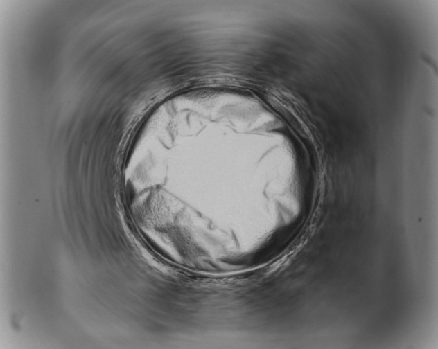 X0000100750049200807101713