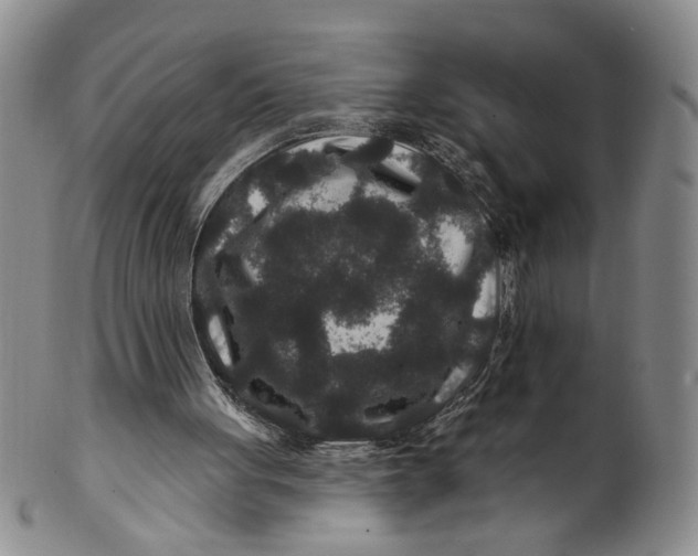 X0000100750051200807101713